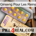 Ginseng For Kidney new06